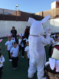 Pascua de R- Conejito